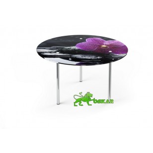 Обеденный стол R1